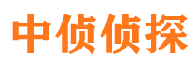 青白江市私家侦探